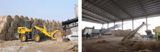 生物質鍋爐取暖